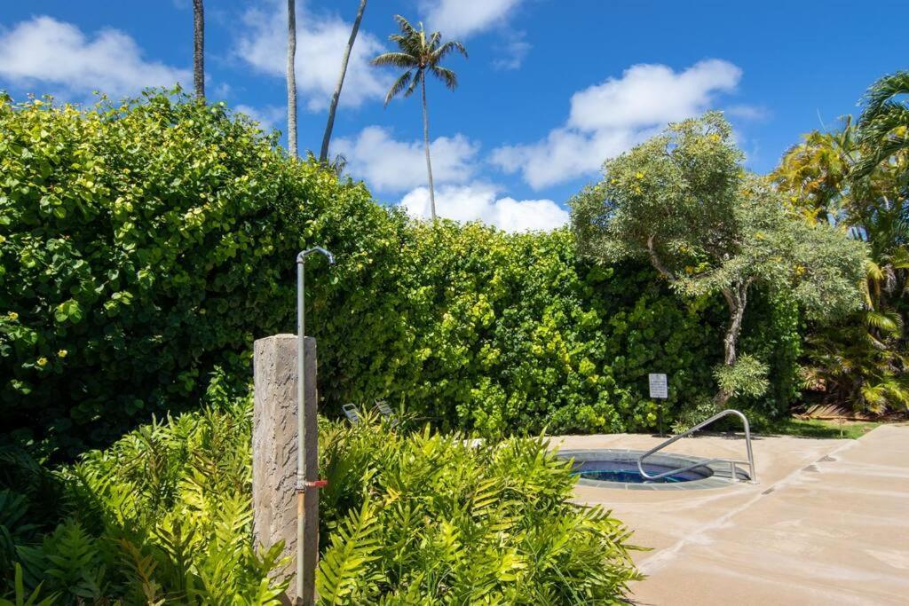 Lovely 1 Bedroom With Kitchen, Free Wifi & Parking Kapa'a Exterior foto